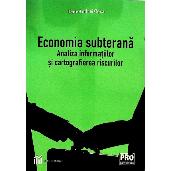 Economia subterana. Analiza informatiilor si cartografierea riscurilor