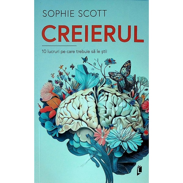 Creierul. 10 lucruri pe care trebuie sa le stii