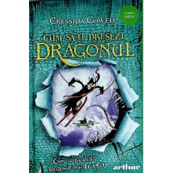 Cum sa-ti dresezi dragonul