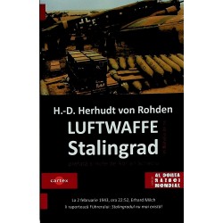 Luftwaffe in batalia de la...