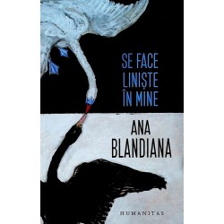 Se face liniste in mine