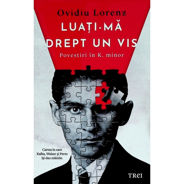 Luati-ma drept un vis. Povestiri in K. minor