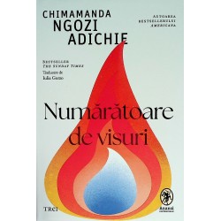 Numaratoare de visuri