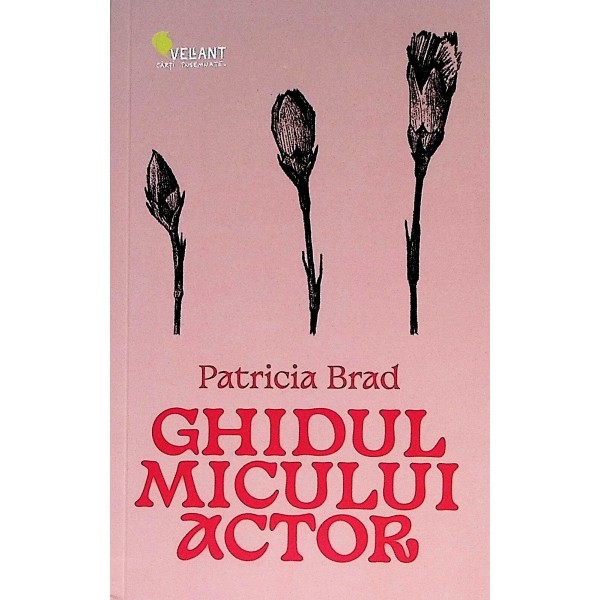 Ghidul micului actor
