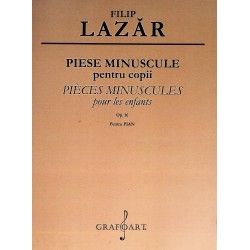 Piese minuscule pentru...