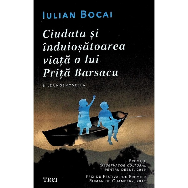 Ciudata si induiosatoarea viata a lui Prita Barsacu. Bildungsnovella