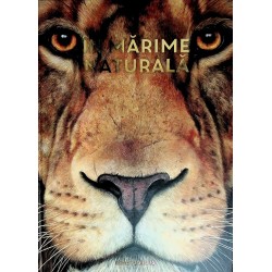 In marime naturala. Animale...