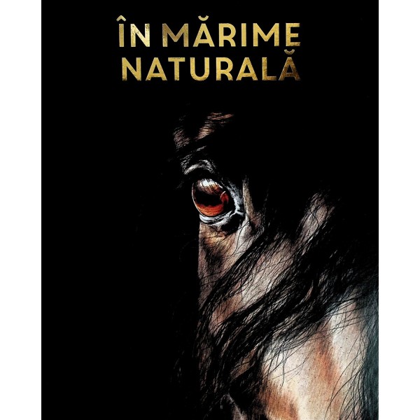In marime naturala. Caii din toata lumea