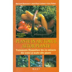 Plante in ajutorul altor plante: tratamente fitosanitare bio cu extracte din urzici si multe alte plante