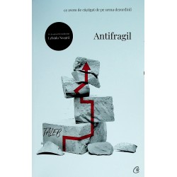 Antifragil