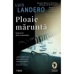 Ploaie marunta