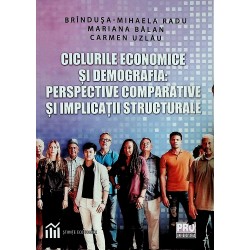 Ciclurile economice si...