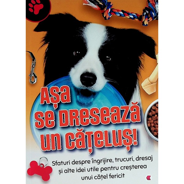 Asa se dreseaza un catelus! Sfaturi despre ingrijire, trucuri, dresaj si alte idei utile pentru cresterea unui catel fericit